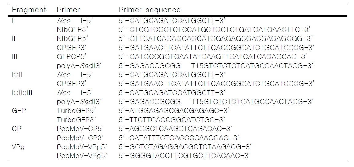 Primers used to fusion PCR for SP6PepMoV-Vb1/GFP construction