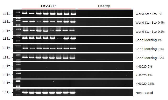 RT-PCR detection of Antiviral activity against TMV-GFP: leaf-disc method.