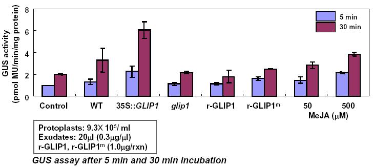 P DF 1.2:GUS의 protoplast를 이용한 체관수액의 유도저항성 활성조사