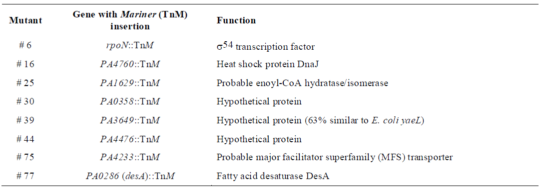 fabA(Ts)PA01에서 불포화지방산(UFA) auxotrophy를 보이는 mariner insertions