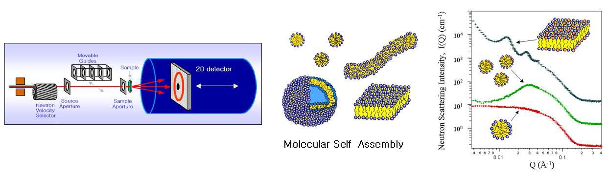 소각중성자 산란장치(SANS)와 자기조립 나노물질 연구