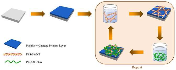 탄소나노튜브와 전도성 고분자를 이용한 Layer-by-Layer 자기조립의 모식도.