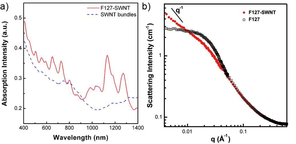 F127-SWNT 입자의 precharacterization result. a) UV-vis-NIR spectra b) SANS