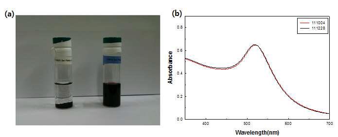 (a) PMMA-PBA 로 기능화 시킨 금 나노입자(왼쪽)와 PMMA-PBA-SH 로 기능화 시킨 금 나노입자(오른쪽), (b) 합성 직 후와 3달이 지난 후의 UV 측정 결과 비교
