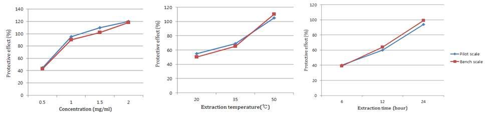 Effect of extract concentration, extraction temperature and extraction time on protective activity.