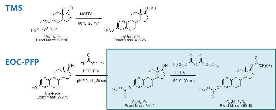 Estrogen의 유도체화 과정