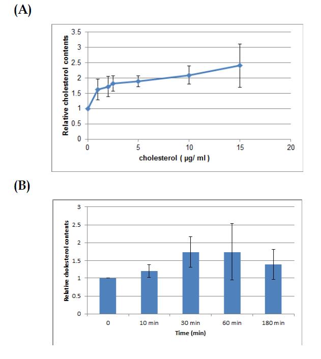 Cholesterol을 처리 농도 (A) 및 시간 (B)에 따른 세포 내 cholesterol 농도 측정