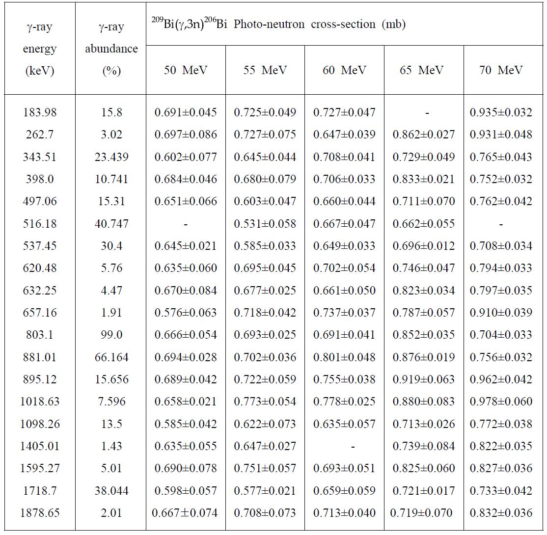209Bi(g,3n)206Bi 반응 단면적 측정 결과