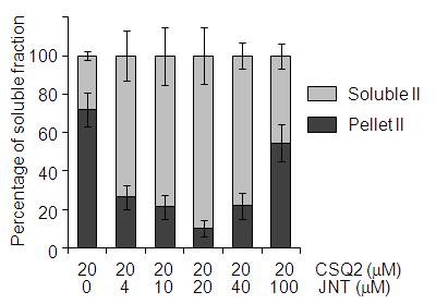 시험관 내에서 JNT의 존재 하에 풀어지는 CSQ 2의 정량적 분석
