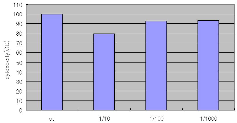 천연 추출혼합액의 세포독성