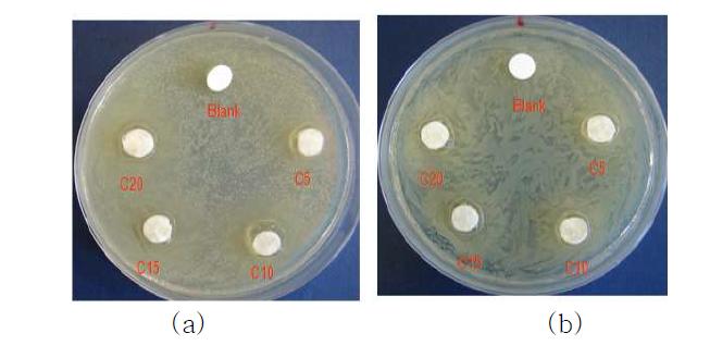밤꽃꿀 함량에 따른 하이드로겔의 항균이미지; (a) 황색포도상구균, (b) 대장균