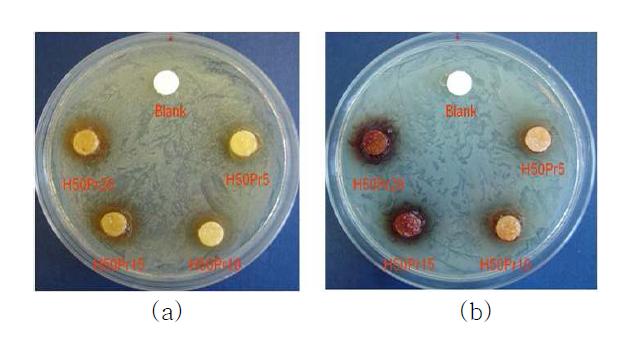 프로폴리스 함량에 따른 하이드로겔의 항균이미지; (a) 황색포도상구균, (b) 대장균