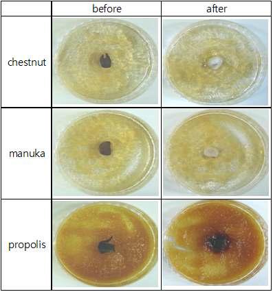 꿀의 종류별 겔페이스트의 KACC 40020균의 항곰팡이 이미지(꿀 함량 20 wt%)