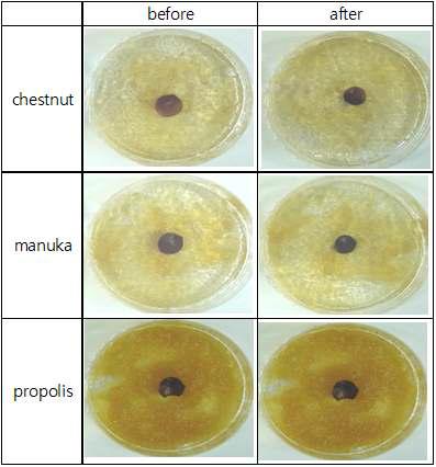 꿀의 종류별 겔페이스트의 KACC 402389균의 항곰팡이 이미지(꿀 함량 20 wt%)