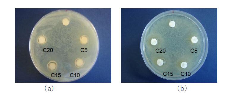 밤꽃꿀 함량에 따른 하이드로겔의 항균이미지; (a) 황색포도상구균, (b) 대장균