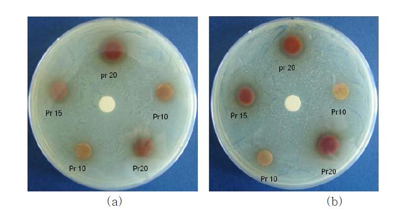 프로폴리스 함량에 따른 겔페이스트의 항균이미지; (a) 황색포도상구균, (b) 대장균