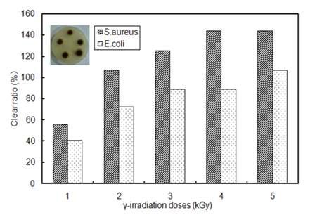 방사선 조사량에 따른 황색포도상구균 및 대장균에 대한 clear ratio