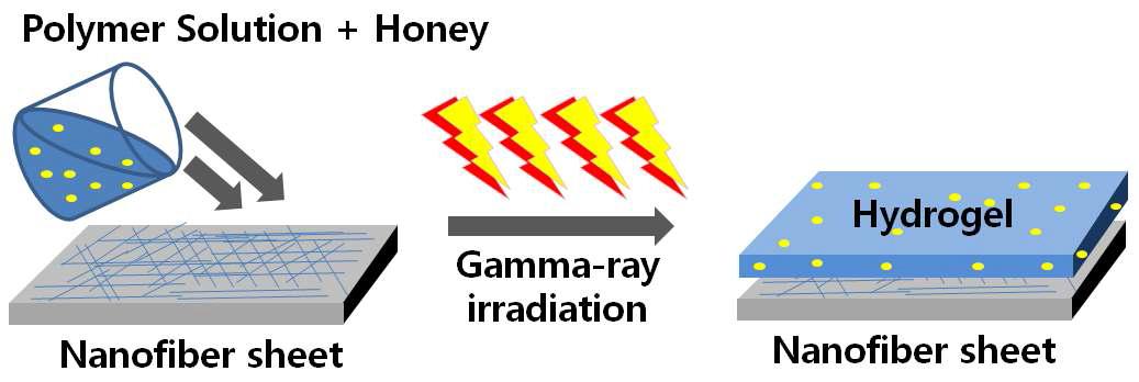 궤양 치료용 고분자 나노 섬유 하이드로겔 제조 방법