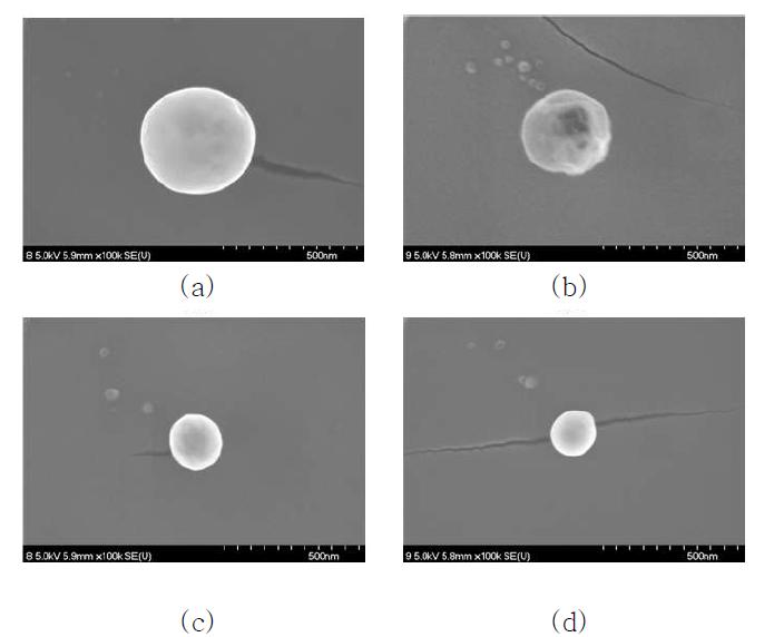 폴리아크릴산 나노겔의 FE-SEM 이미지 ; PAC 1 wt%, Hexane 1 wt% (a) 30 kGy, (b) 50 kGy, (c) 75 kGy, (d) 100 kGy