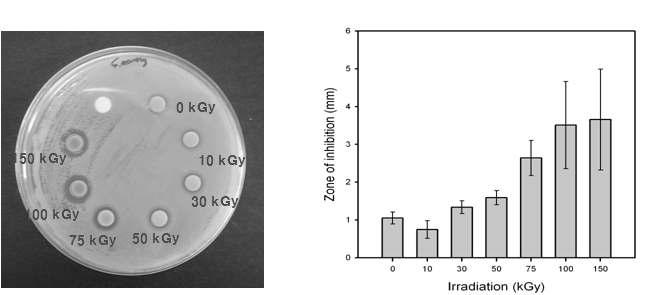 방사선 조사선량에 따른 Ag/PAC 나노겔의 황색포도상구균에 대한 항균성 실험; PAC 1 wt%, Hexane 3 wt%, AgNO3 0.005 M