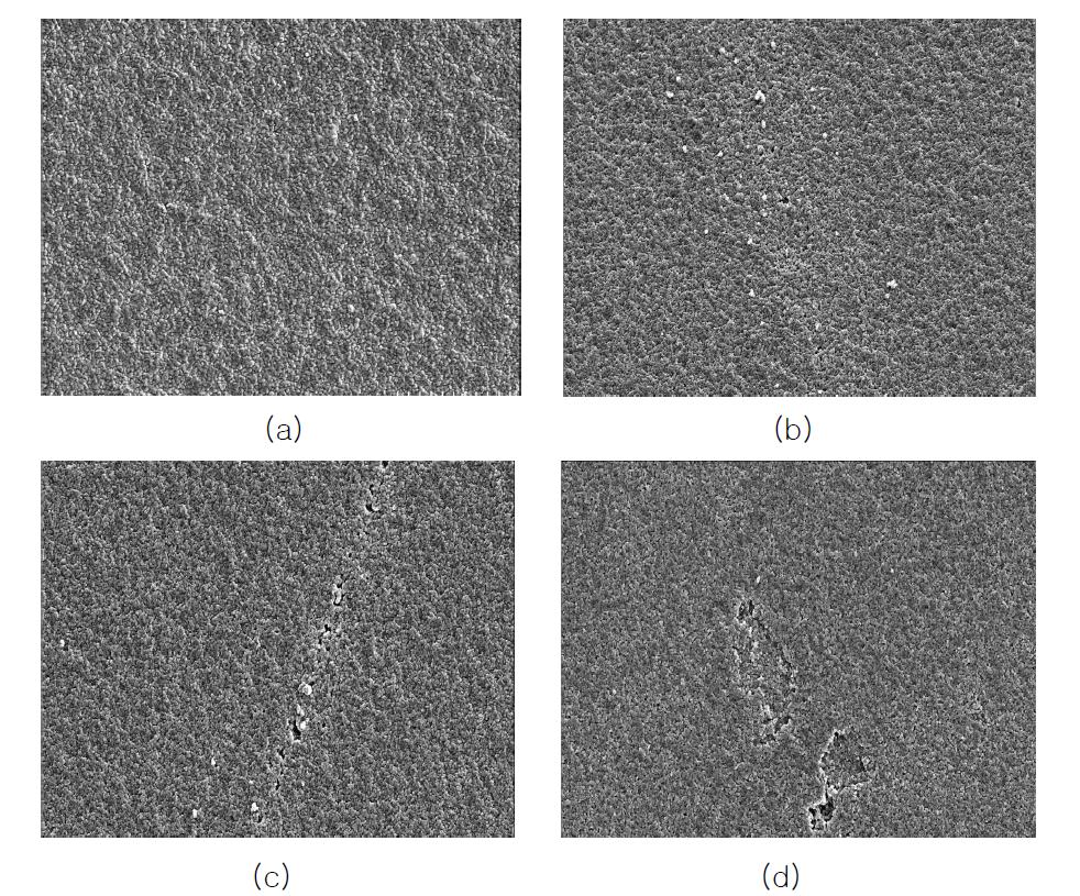 전자선 조사선량에 따른 1% hydroxypropyl cellulose 함유한 EB 경화형 고분자 겔 전해질의 SEM images(3000×): (a) 0.6 kGy, (b) 2 kGy, (c) 4 kGy (d) 6 kGy.