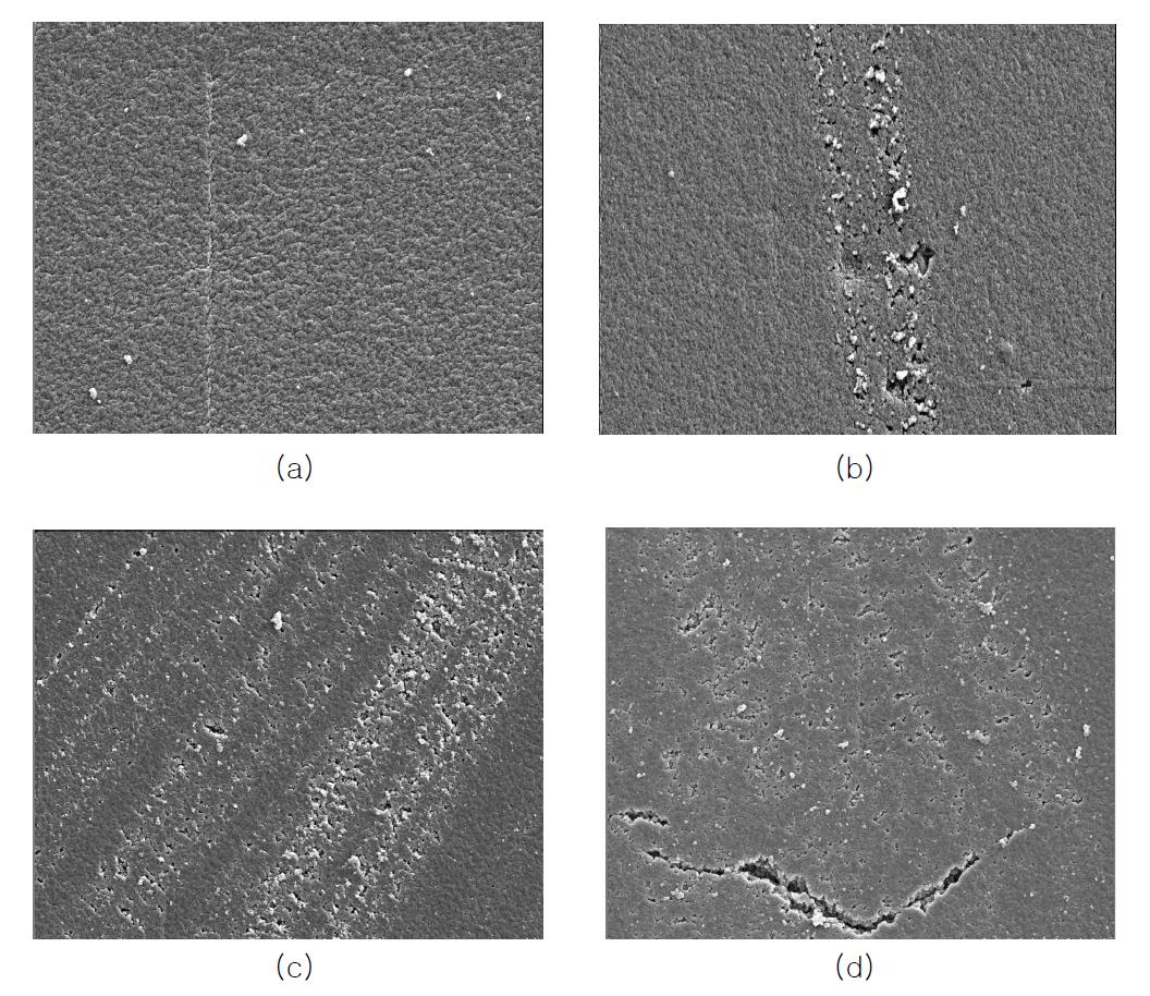 전자선 조사선량에 따른 hydroxypropyl cellulose 함유하지 않은 EB경화형 고분자 겔 전해질의 SEM images(3000×): (a) 0.6 kGy, (b) 2 kGy, (c) 4 kGy (d) 6 kGy.