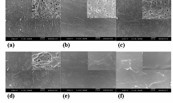 SEM images (the original magnification at 5000x and 30000x (top right corner)): (a) 상용 PE separator, (b) 7.0 wt%, (c) 22.7 wt%, (d) 49.7 wt%, (e) 67.7 wt%, and (f) 127.3 wt% 그라프트 PE 분리막