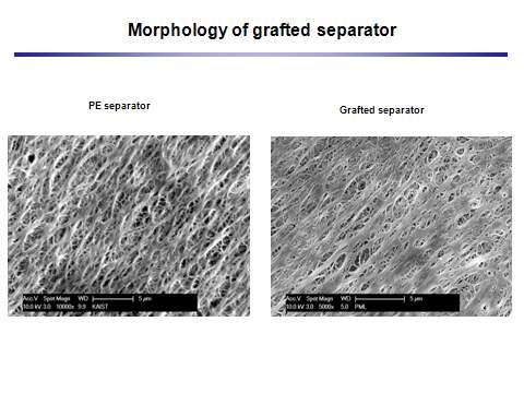 분리막의 표면 비교(PE 분리막 vs 그라프트 분리막)