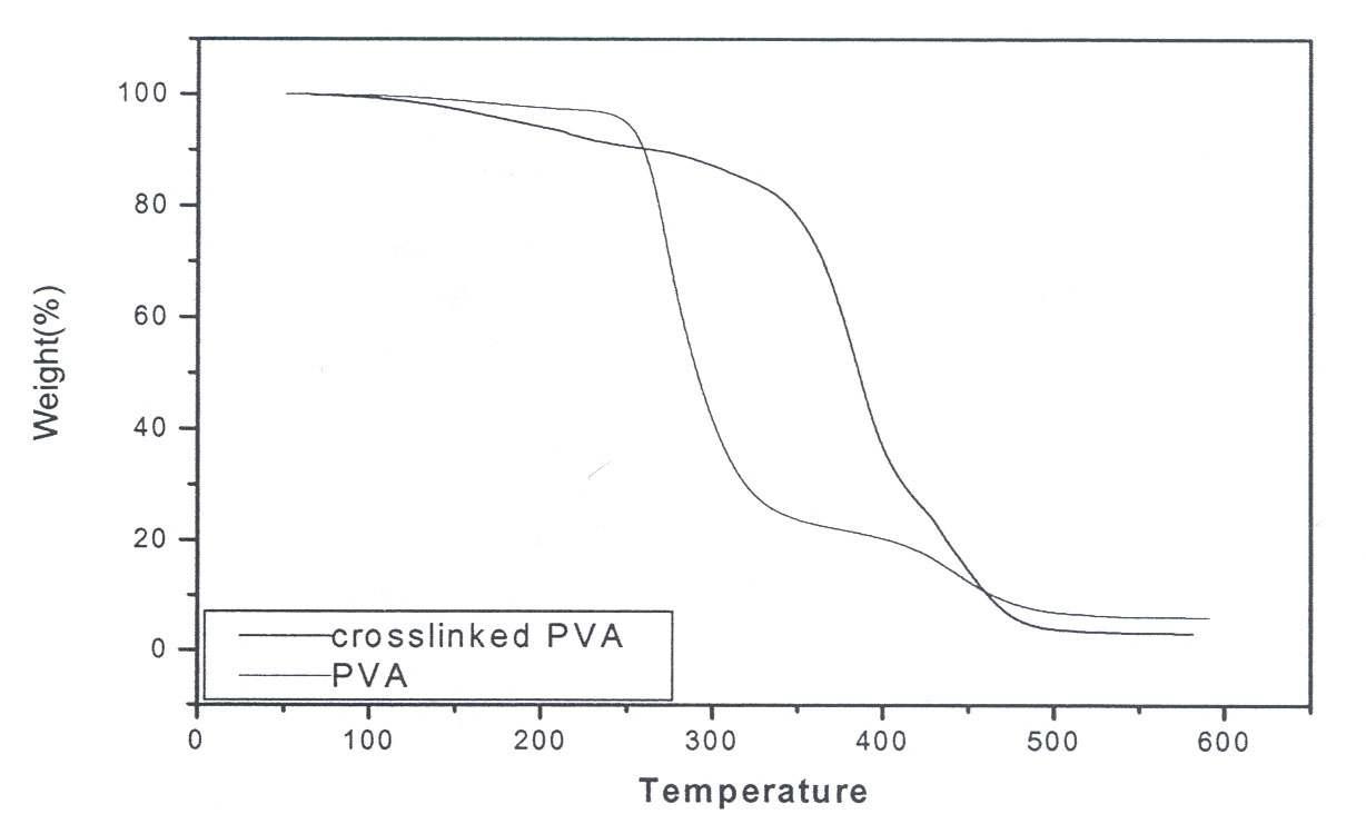 PVA 수화겔의 TGA 측정