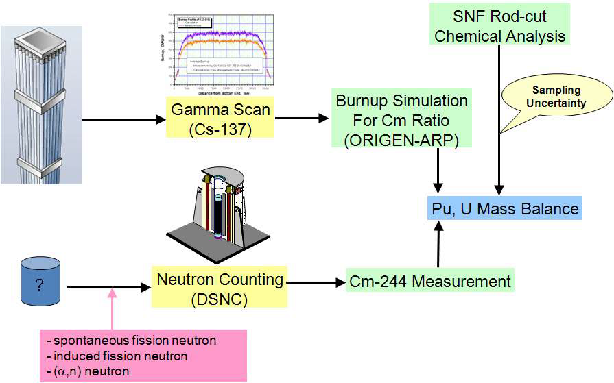 그림 3.2.1.1 Cm-244 중성자 계측을 이용한 사용후핵연료내 핵물질 계량 흐름도