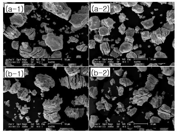 그림 3.3.2.8 진동 Sieving 분말 형상; (a-1) 1회 환원 • 산화분말 > 20㎛ , (a-2) 1회환원 • 산화분말  20㎛, (b-2) 2회환원 • 산화분말 < 20㎛