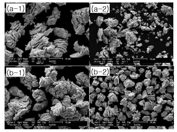 그림 3.3.2.9 진동 Sieving 분말 형상; (a-1) 1회 환원 • 산화분말 > 20 ㎛ , (a-2) 1회환원 • 산화분말  20 ㎛, (b-2) 2회 환원 • 산화분말 < 20 ㎛