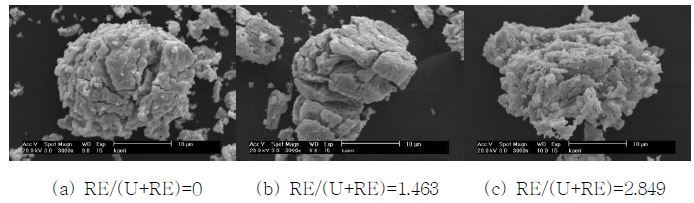 그림 3.3.3.10 AP공정 3차 환원처리 분말 SEM 관찰 형상