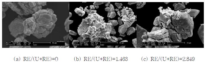 그림 3.3.3.11 TP공정 3차 환원처리 분말 SEM 관찰 형상