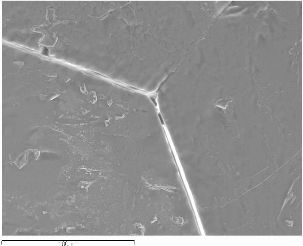 Fig. 3.2.1.7 Mg-Si-Ca-O oxide in grain boundaries.