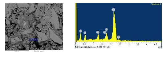 Fig. 3.2.1.8 Cross-sectional SEM image and EDS result of surface defect.