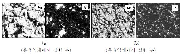 Fig. 3.2.1.21 Cross-sectional SEM image and the elemental distribution of MgO-Al2O3 (a) and MgO-Y2O3.