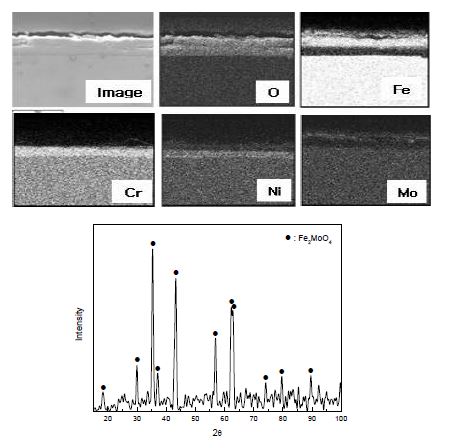 Fig. 3.2.2.2 Cross-sectional SEM image, elemental distribution and XRD pattern of Type 316 S.S.