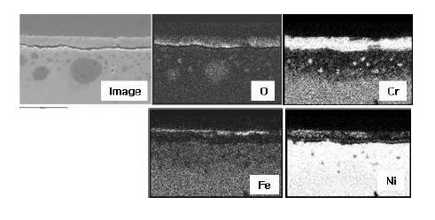 Fig. 3.2.2.4 Cross-sectional SEM image and elemental distribution of Inconel 600.