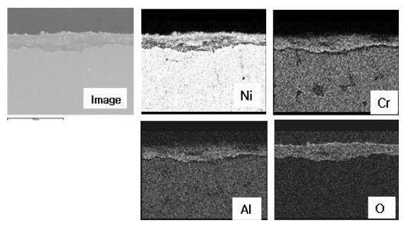 Fig. 3.2.2.7 Cross-sectional SEM image and elemental distribution of Inconel 713LC