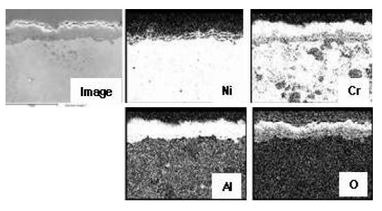 Fig. 3.2.2.10 Cross-sectional SEM image and elemental distribution of Superalloy N-1