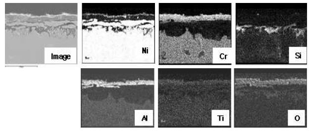 Fig. 3.2.2.11 Cross-sectional SEM image and elemental distribution of Superalloy N-1.