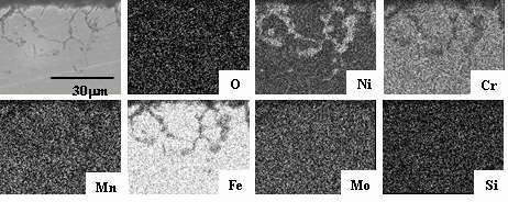 Fig. 3.2.2.14 Cross-sectional SEM image and elemental distribution of Type 316 S.S.