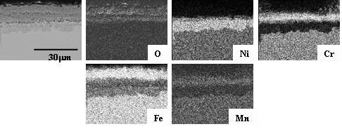 Fig. 3.2.2.16 Cross-sectional SEM image and elemental distribution of Incoloy 800H