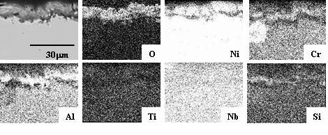 Fig. 3.2.2.20 Cross-sectional SEM image and elemental distribution of Superalloy N-9.