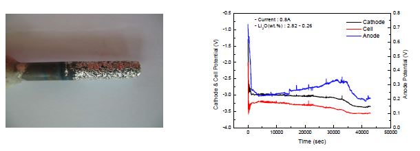 Fig. 3.2.3.3 Uniform corrosion of Pt electrode and potential curve(Li2O concentration < 0.3 wt.%).