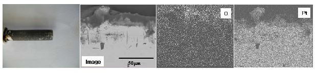 Fig. 3.2.3.6 Photo and cross-sectional SEM image and elemental distribution of localized Pt electrode