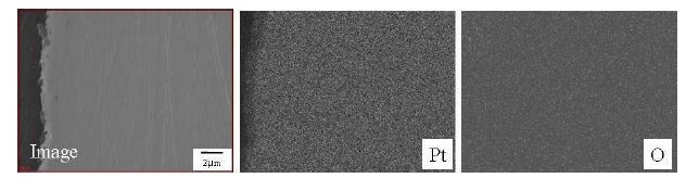 Fig. 3.2.3.12 Cross-sectional SEM image and elemental distribution of Pt electrode corroded at 650℃ for 216 h in molten salt of LiCl-1%Li2O.