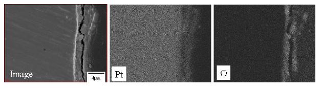 Fig. 3.2.3.13 Cross-sectional SEM image and elemental distribution of Pt electrode corroded at 650℃ for 216 h in molten salt of LiCl-3%Li2O.