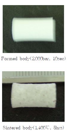 Fig. 3.2.4.1 Formed and sintered bodies of reaction production from SrCO3 and ZrO2.